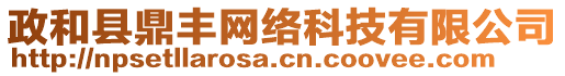 政和縣鼎豐網(wǎng)絡(luò)科技有限公司