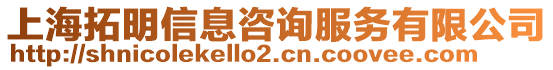 上海拓明信息咨詢服務有限公司