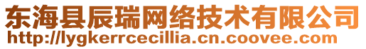 东海县辰瑞网络技术有限公司