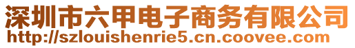 深圳市六甲電子商務(wù)有限公司