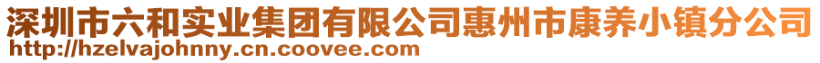 深圳市六和實(shí)業(yè)集團(tuán)有限公司惠州市康養(yǎng)小鎮(zhèn)分公司