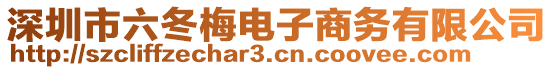 深圳市六冬梅電子商務(wù)有限公司