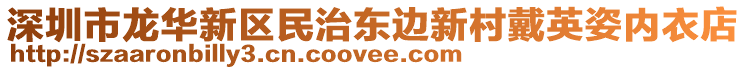 深圳市龍華新區(qū)民治東邊新村戴英姿內(nèi)衣店