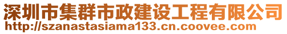 深圳市集群市政建設(shè)工程有限公司