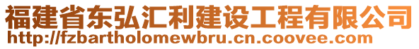 福建省东弘汇利建设工程有限公司