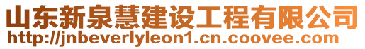 山東新泉慧建設(shè)工程有限公司