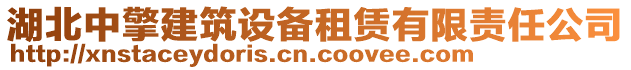 湖北中擎建筑设备租赁有限责任公司