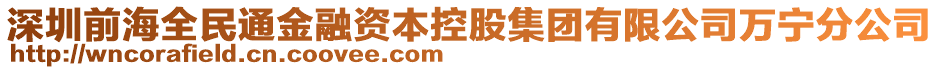 深圳前海全民通金融資本控股集團有限公司萬寧分公司