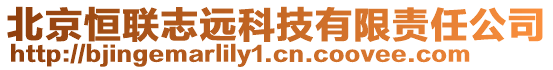 北京恒聯(lián)志遠(yuǎn)科技有限責(zé)任公司