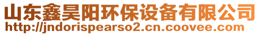 山東鑫昊陽環(huán)保設(shè)備有限公司