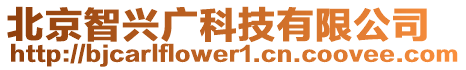 北京智興廣科技有限公司