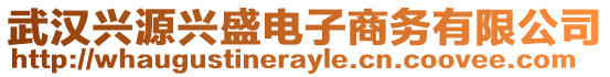 武漢興源興盛電子商務(wù)有限公司