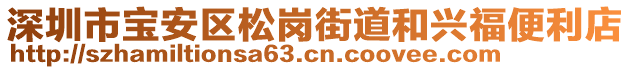 深圳市寶安區(qū)松崗街道和興福便利店