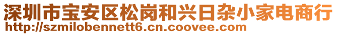 深圳市寶安區(qū)松崗和興日雜小家電商行