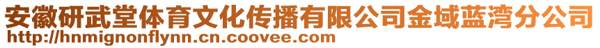 安徽研武堂體育文化傳播有限公司金域藍(lán)灣分公司