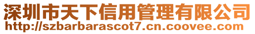 深圳市天下信用管理有限公司