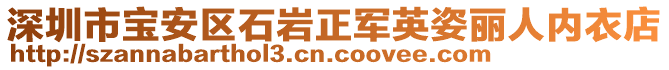 深圳市寶安區(qū)石巖正軍英姿麗人內(nèi)衣店