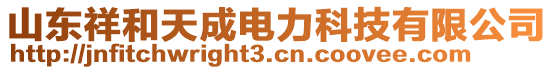 山东祥和天成电力科技有限公司