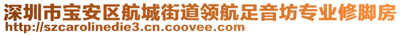 深圳市宝安区航城街道领航足音坊专业修脚房