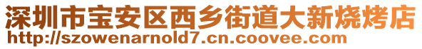 深圳市寶安區(qū)西鄉(xiāng)街道大新燒烤店