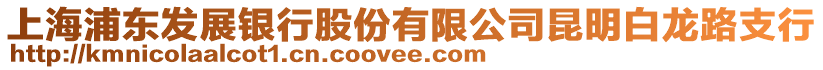 上海浦東發(fā)展銀行股份有限公司昆明白龍路支行