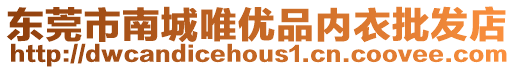 東莞市南城唯優(yōu)品內(nèi)衣批發(fā)店