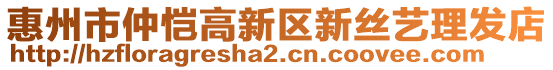 惠州市仲愷高新區(qū)新絲藝?yán)戆l(fā)店