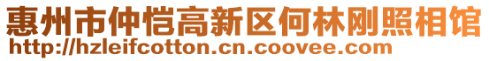 惠州市仲愷高新區何林剛照相館
