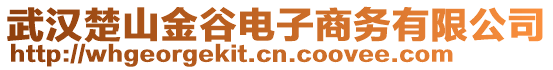 武漢楚山金谷電子商務(wù)有限公司