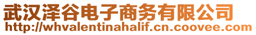 武漢澤谷電子商務(wù)有限公司