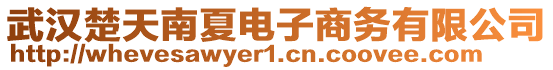 武漢楚天南夏電子商務(wù)有限公司