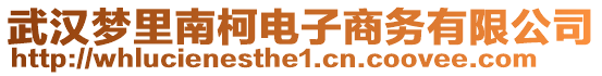 武漢夢里南柯電子商務(wù)有限公司