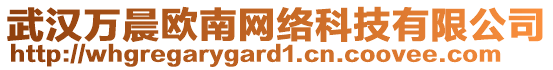 武漢萬晨歐南網(wǎng)絡(luò)科技有限公司