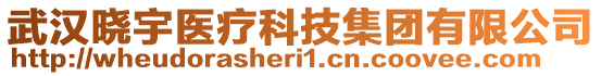 武漢曉宇醫(yī)療科技集團(tuán)有限公司