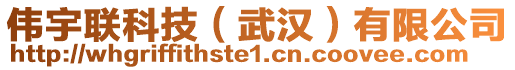 偉宇聯(lián)科技（武漢）有限公司