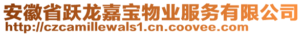 安徽省躍龍嘉寶物業(yè)服務(wù)有限公司