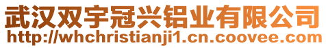 武漢雙宇冠興鋁業(yè)有限公司