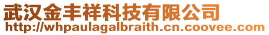 武漢金豐祥科技有限公司