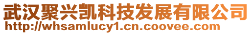 武汉聚兴凯科技发展有限公司