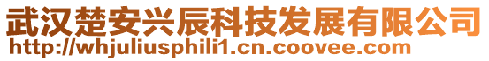 武汉楚安兴辰科技发展有限公司