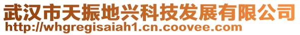 武漢市天振地興科技發(fā)展有限公司