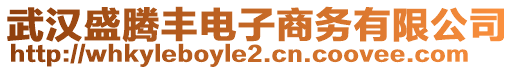 武漢盛騰豐電子商務(wù)有限公司