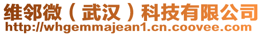 維鄰微（武漢）科技有限公司