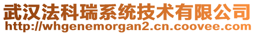 武漢法科瑞系統(tǒng)技術(shù)有限公司