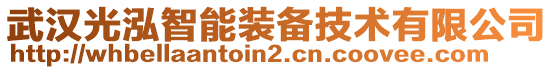 武漢光泓智能裝備技術(shù)有限公司