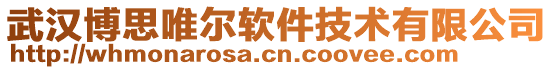 武漢博思唯爾軟件技術(shù)有限公司