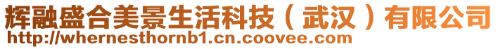 輝融盛合美景生活科技（武漢）有限公司