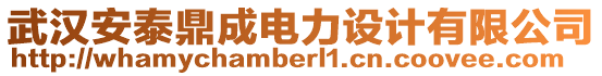 武漢安泰鼎成電力設(shè)計(jì)有限公司