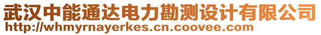 武漢中能通達電力勘測設計有限公司