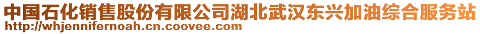 中國石化銷售股份有限公司湖北武漢東興加油綜合服務(wù)站